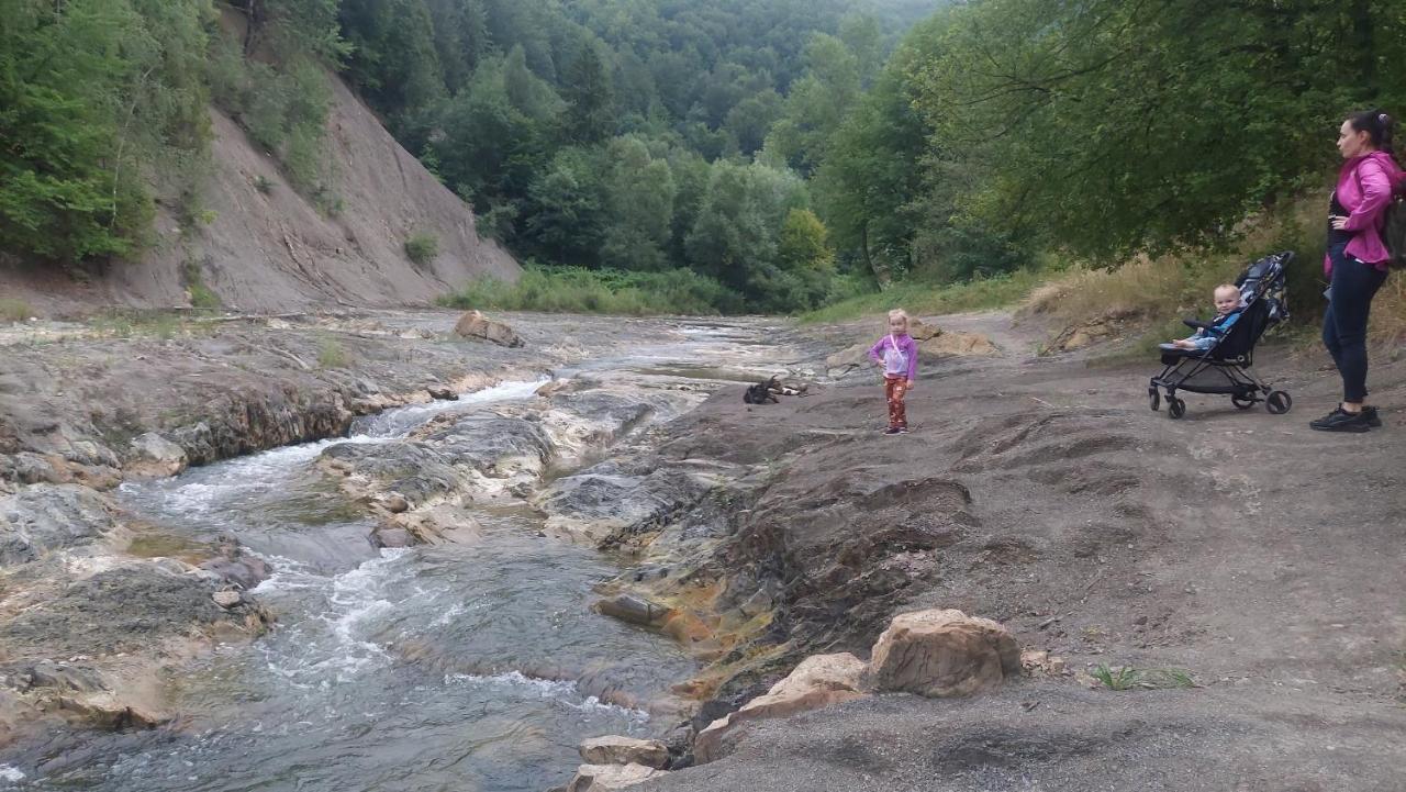 Садиба Федорчуків Гірська Хатина Scheschory Exterior foto