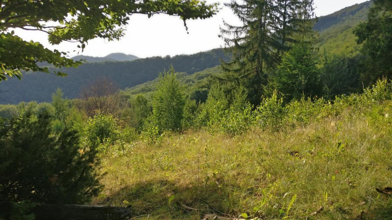 Садиба Федорчуків Гірська Хатина Scheschory Exterior foto